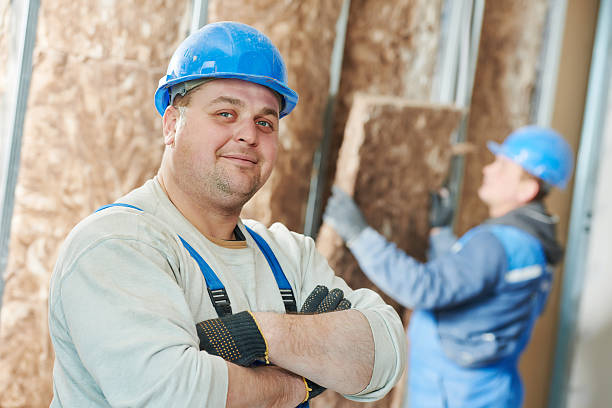 Best Specialized Insulation Services in Phoenix, IL